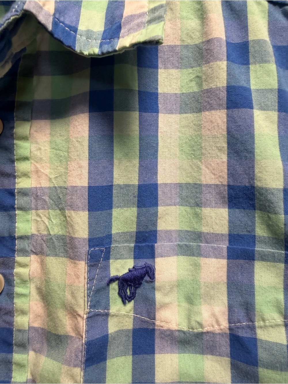 Wrangler Blue & Green Gingham Button-Up Shirt with Pony Embroidery